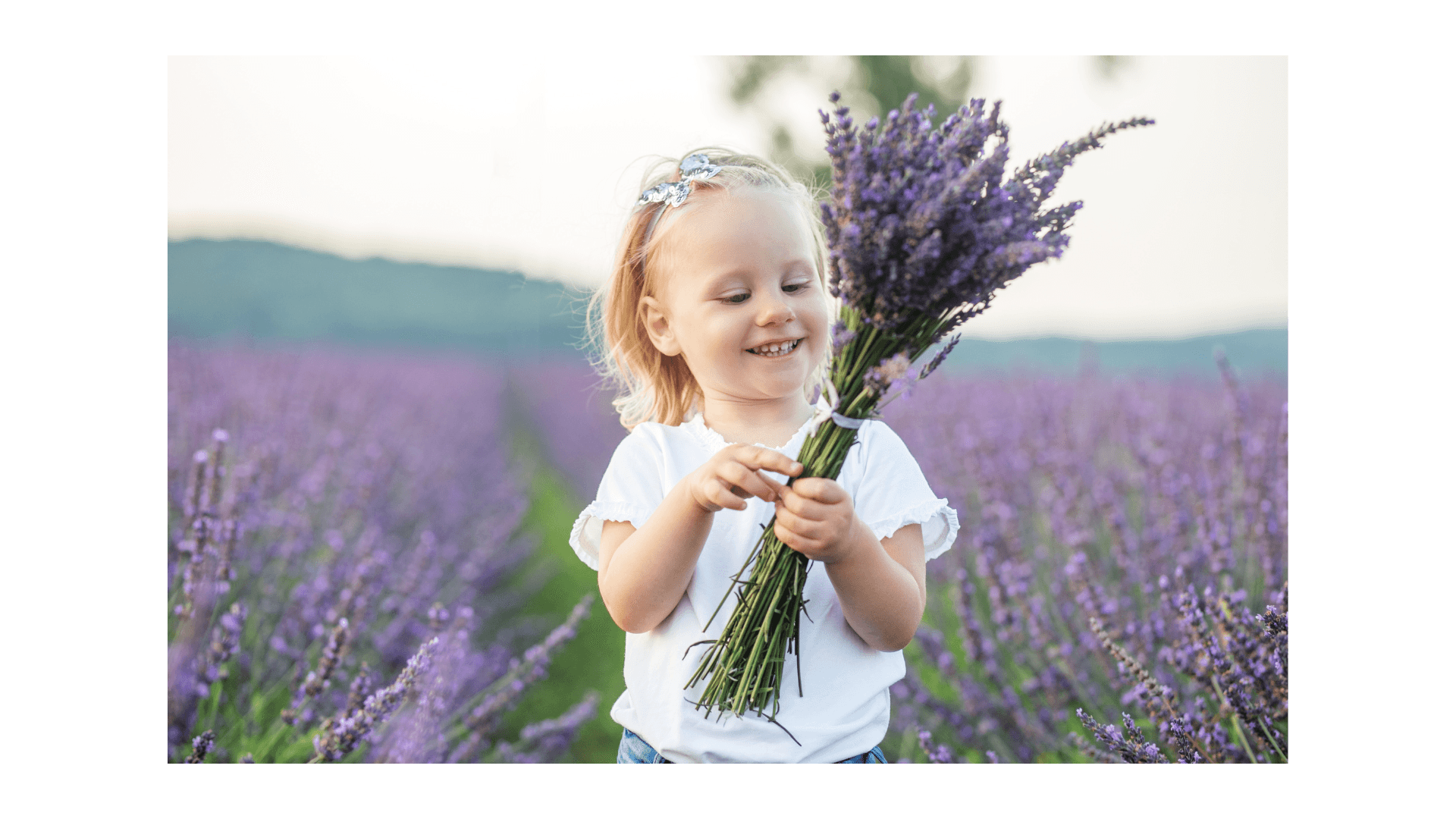 Baby Shower at Kharis Lavender Fields - Kharislavender