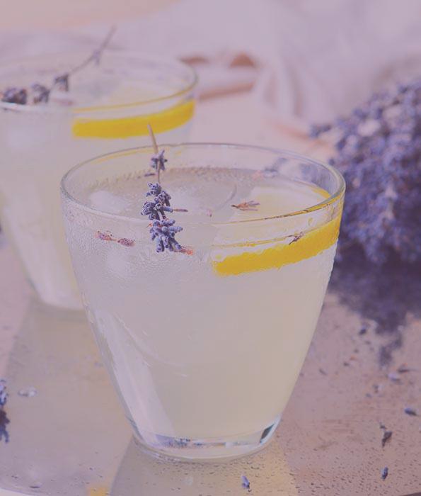 For The Kitchen - Kharislavender