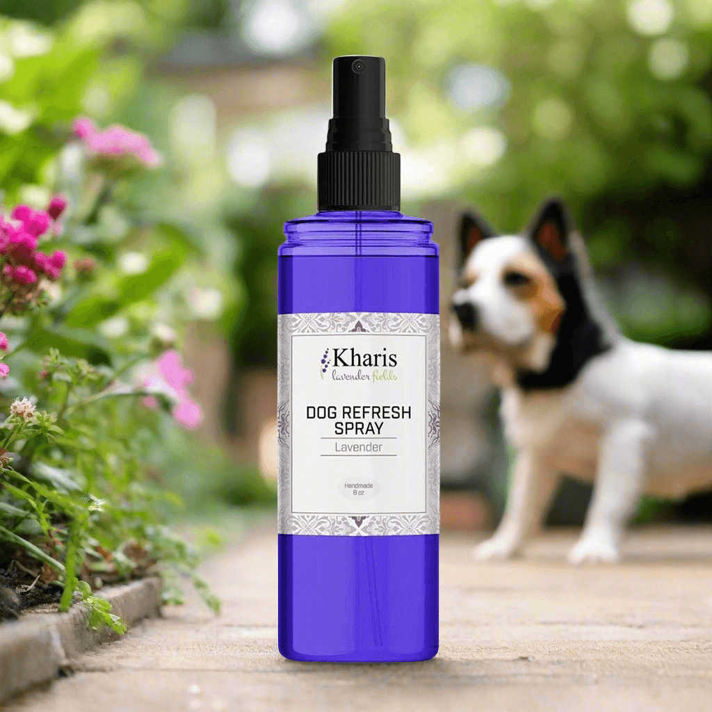Dog Refresh Spray