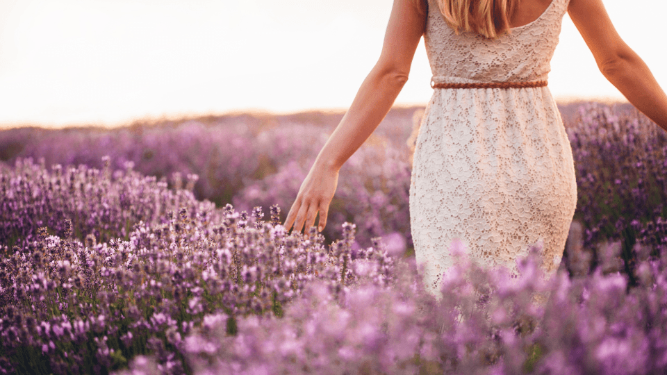 Lavender Fields: Connections between Smell and Emotions - Kharislavender