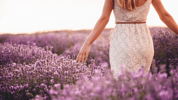 Lavender Fields: Connections between Smell and Emotions
