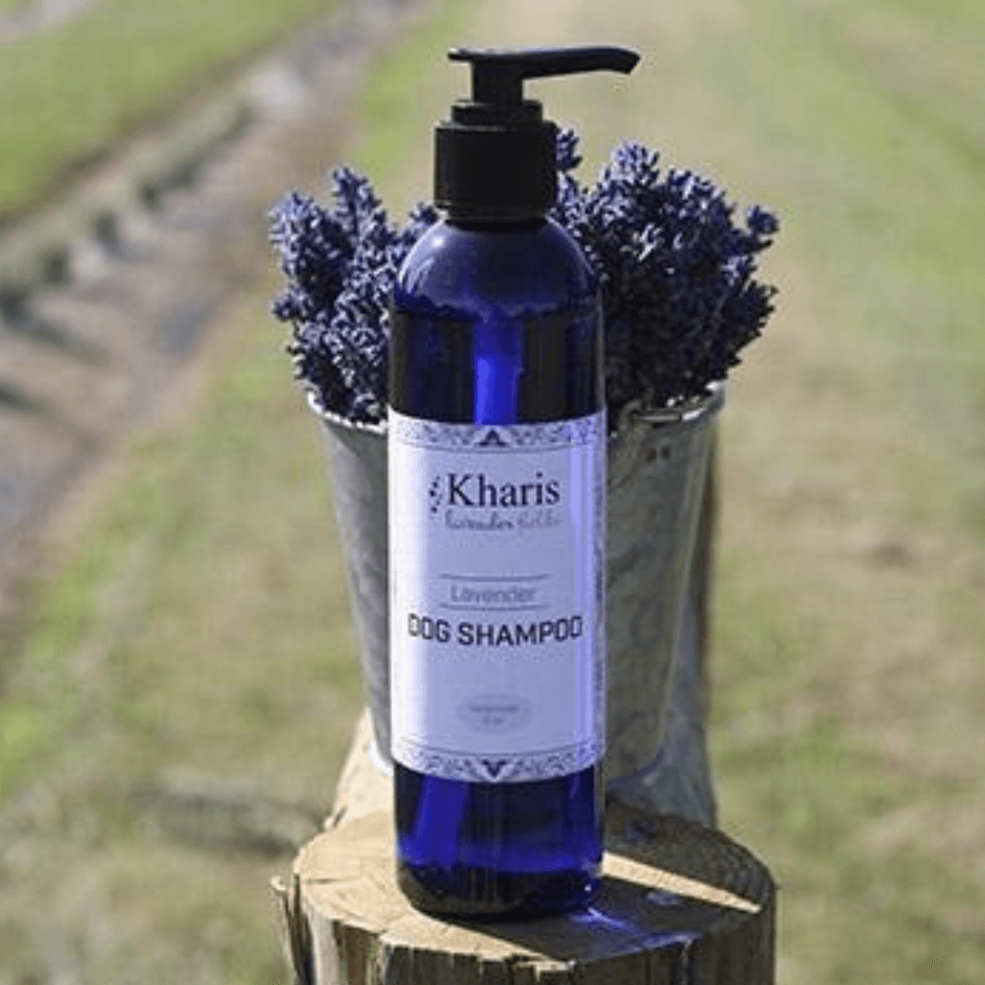 Dog Shampoo Lavender - Kharislavender