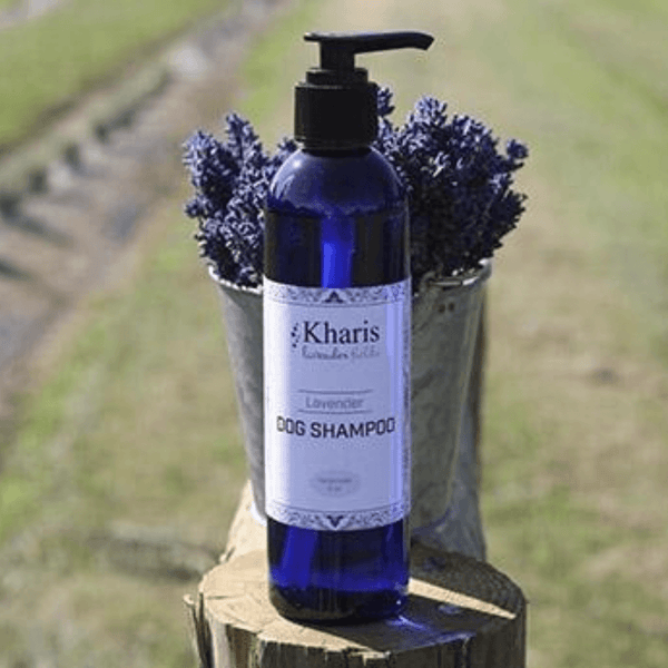 Dog Shampoo Lavender