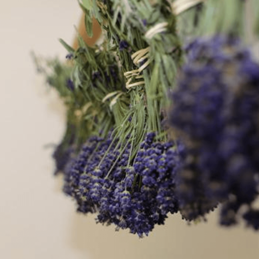 Lavender Sachets - Kharislavender