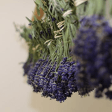 Lavender Sachets